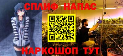 спиды Ипатово