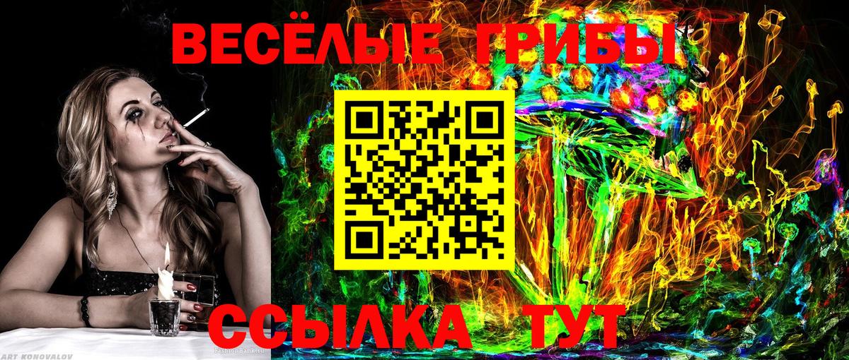 купить наркоту  Вход с VPN  Миасс  Псилоцибиновые грибы GOLDEN TEACHER 