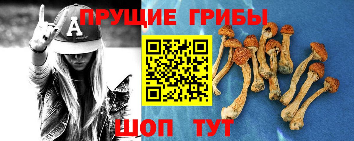 Псилоцибиновые грибы Psilocybe Миасс